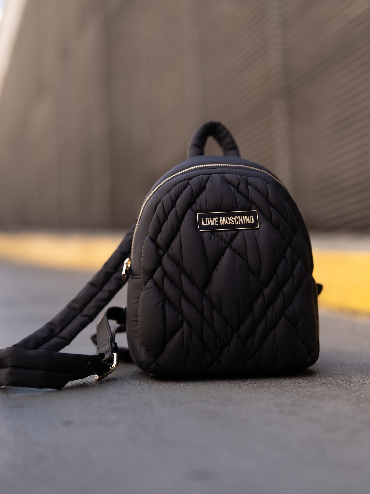 Padded backpack