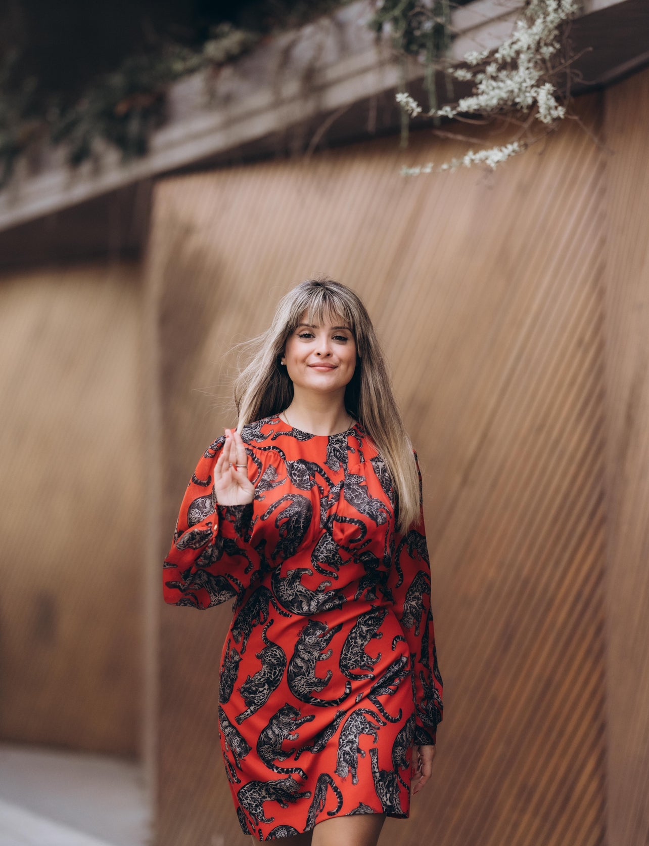 Tiger print dress